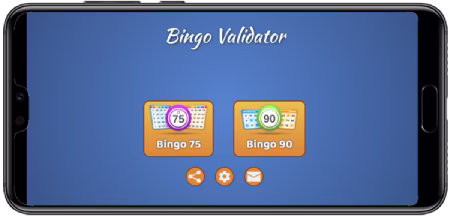 types of bingo